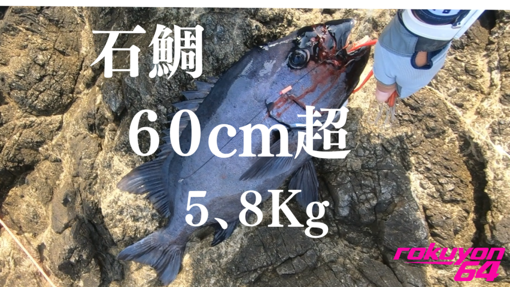 釣り　串本　磯